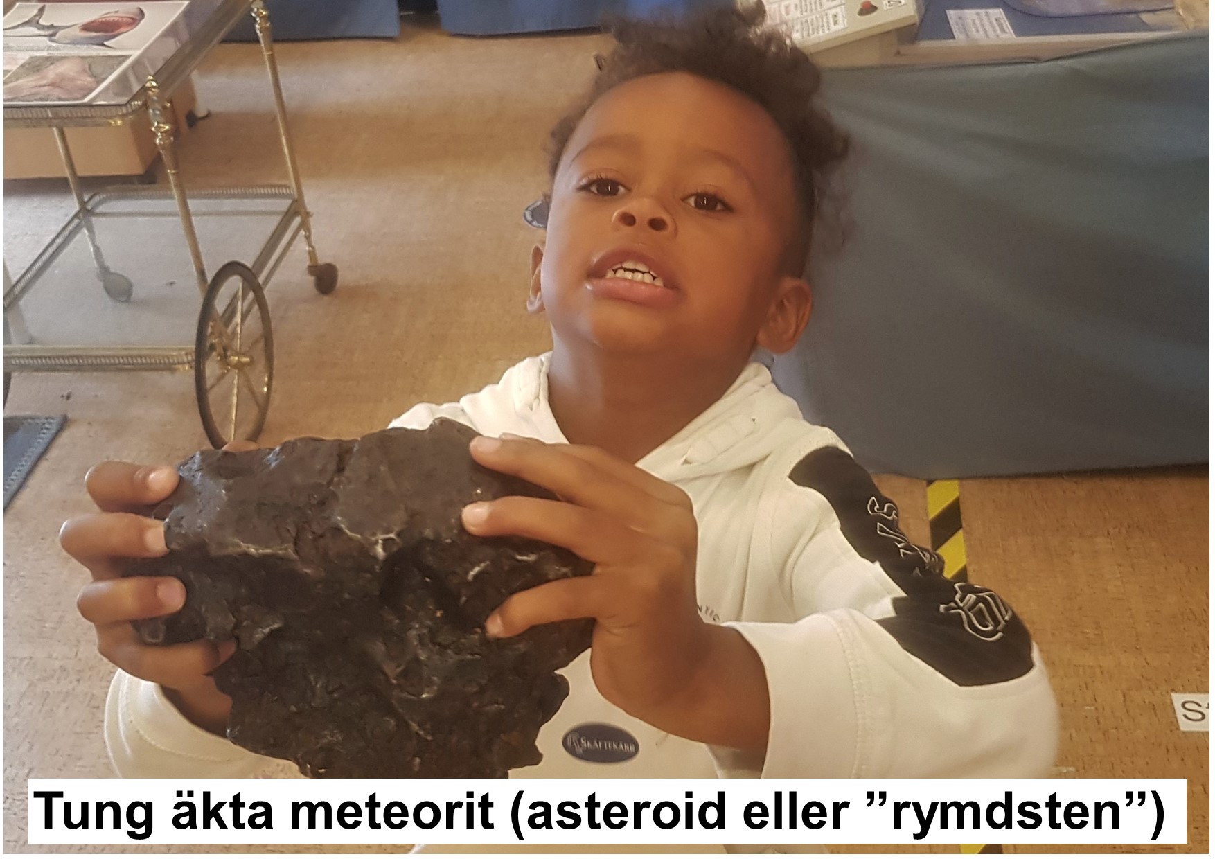 132 Meteorit asteroid