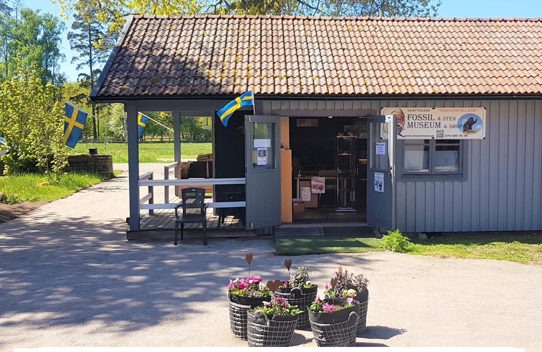 Skäftekärr_fossilmuseum_storlek_673_kB.jpg